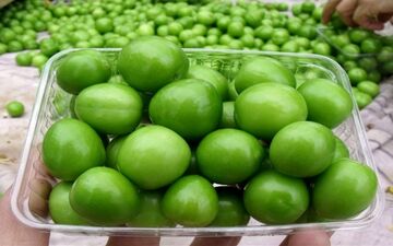 خواص درمانی گوجه سبز