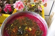طرز تهیه آش قره قروت!