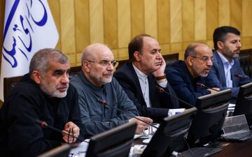 تاکید رئیس مجلس بر همراهی قوا برای حل مشکلات کشور
