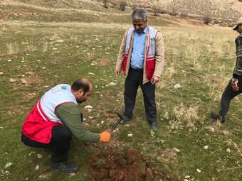 گزارش تصویری کاشت بذر بلوط در دامنه زاگرس توسط سمن های مردم نهاد و موسسه خیریه مهرگان 