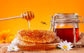 رنگ عسل معیار خوبی برای تشخیص کیفیت آن نیست