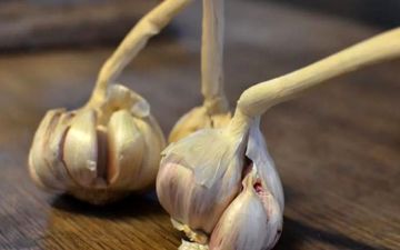  اگر عاشق سیر هستید، این بهترین راه برای رفع بوی آن از دهان است