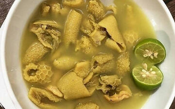سیرابی منبعی سرشار از پروتئین