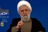 شیخ نعیم قاسم: مقاومت تنها راه حل برای آزادسازی سرزمین است