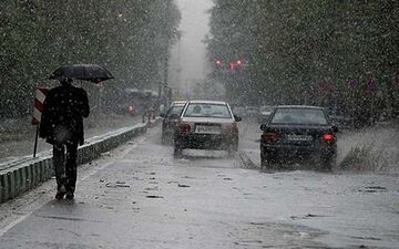 بارندگی در گرمای خرماپزان بم + فیلم