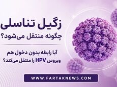 زگیل تناسلی چگونه منتقل می‌شود؟ / آیا رابطه بدون دخول هم ویروس HPV را منتقل می‌کند؟
