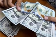 دلار و دیگر ارزها امروز ۵ شهریور ۱۴۰۵: ثبات قیمت‌ها در بازار
