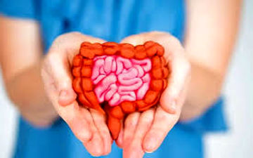 ویتامین‌های کلیدی برای روده