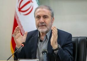 خبر مهم درباره کشت خشخاش در ایران؛ توضیح دبیرکل ستاد مبارزه با موادمخدر