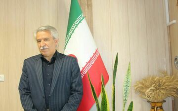 برداشت بیش از ۱۷۱ هزار تن ذرت علوفه ای از مزارع شهرستان کرمانشاه