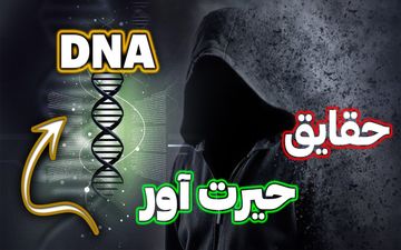 چند عکس که با شنیدن داستان آن ها، همه وجودتان می لرزد + تصاویر