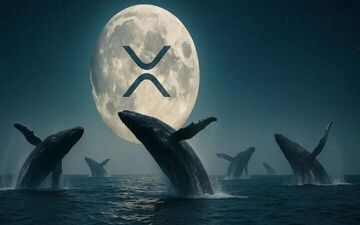 نهنگ‌های ارز دیجیتال ۳.۸ میلیارد دلار ریپل خریداری کردند | جهش قیمت XRP