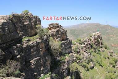 محسن عباسی‌فرد- ایرج الیاسی دالاهو