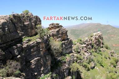 محسن عباسی‌فرد- ایرج الیاسی دالاهو