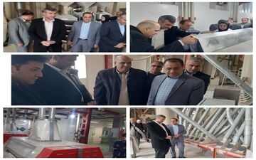ایلام به دنبال الگوسازی در تولید آرد؛ کارخانه چرداول نمونه‌ای موفق