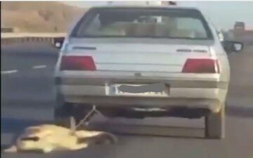 شکنجه بی‌رحمانه سگ زبان بسته توسط راننده خودروی سواری +فیلم 