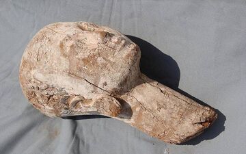 رازگشایی از مجسمه چوبی 4 هزار ساله ملکه مصری
