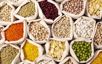 فواید شگفت‌انگیز حبوبات برای سلامتی؛ از بهبود متابولیسم تا کاهش خطر سرطان