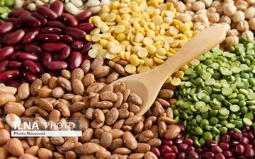 آغاز ثبت سفارش واردات حبوبات از ۱۲ شهریور ۱۴۰۵
