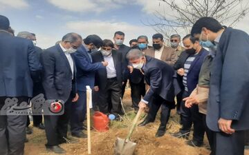 گزارش تصویری/برگزاری جشن درختکاری در پردیس کشاورزی و منابع طبیعی دانشگاه رازی کرمانشاه