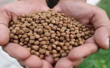 پلمب انبار نگهداری غیرمجاز خوراک ماهی در پاوه