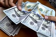 قیمت دلار، یورو و درهم در بازار رسمی امروز یکشنبه ۲۰ اردیبهشت