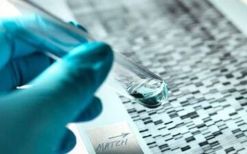 پرده از راز ارتباط پنهانی مربی رزمی کار  با زن شوهردار برداشته شد