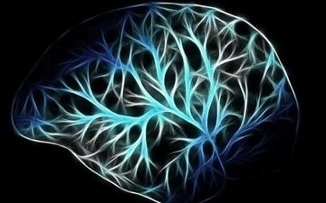 سیستم عصبی بدن و روش‌هایی برای بهبود آن/از نقش نورخورشید صبحگاهی تا سرما 