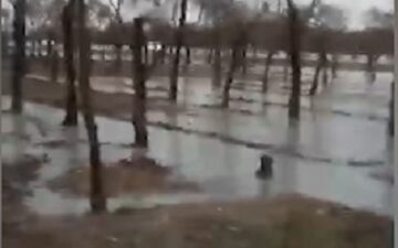 وقتی جنگل تبدیل به دریاچه می‌شود! + فیلم 