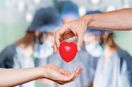 اهدای زندگی از دل اندوه؛ اعضای بدن نوجوان الشتری جان چهار بیمار را نجات داد