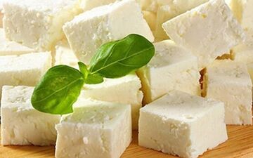 این لبنیات بمب انرژی روده شماست
