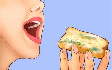  بعد از خوردن کپک چکار باید انجام دهیم؟