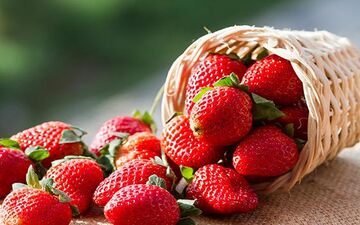 خواص شگفت انگیز توت فرنگی برای زنان باردار
