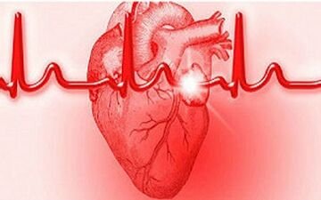 از دومین عضو حیاتی بدن چگونه مراقبت کنیم؟ + فیلم