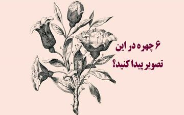 در این تصویر 6 چهره مخفی شده است / پیداشون کنی نابغه ای! + پاسخ