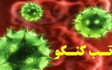 فوت یک نفر در شهرستان روانسر بر اثر ابتلا به تب کریمه کنگو