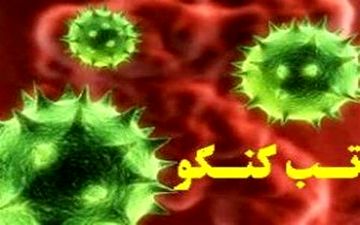 فوت یک نفر در شهرستان روانسر بر اثر ابتلا به تب کریمه کنگو