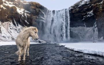 عکس منتخب نشنال جئوگرافیک | ایسلند وحشی