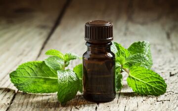معجزات استفاده از روغن نعنا