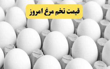 گرانی تخم‌مرغ؛ دانه‌ای ۸ هزار تومان | آینده قیمت‌ها چه می‌شود؟