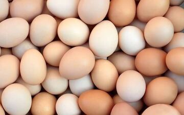 تخم‌مرغ این خوردنی شگفت‌ انگیز را دست کم نگیرید