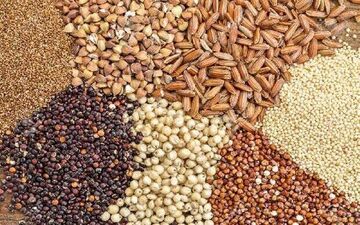 قیمت انواع نهاده های دامی و محصولات کشاورزی ۷ اردیبهشت ۱۴۰۵