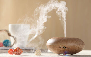 خواص روغن بنفشه؛ از تقویت قوای جنسی تا درمان بی خوابی