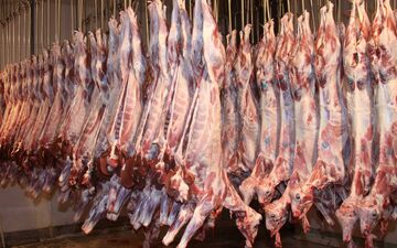  گوشت گوسفند استرالیایی با نرخ 330 هزار ریال به بازار تهران رسید