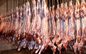  گوشت گوسفند استرالیایی با نرخ 330 هزار ریال به بازار تهران رسید