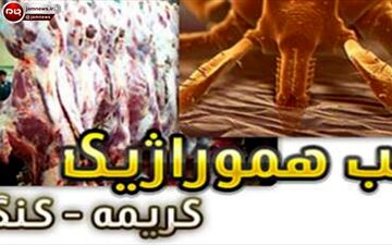 بستری شدن ۲ دامدار مشکوک به تب کریمه در نوشهر