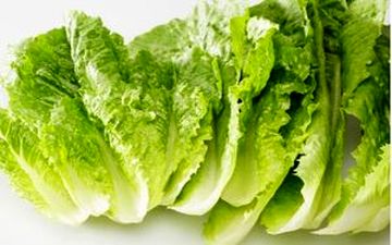 مقابله با سرطان با خوردن کاهو
