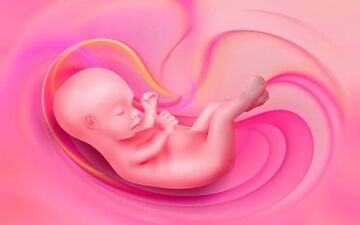 آنچه جنین در شکم مادر یاد میگیرد
