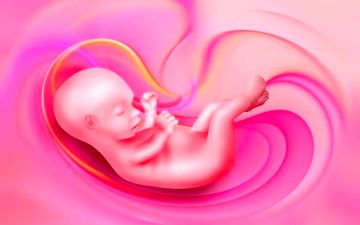 آنچه جنین در شکم مادر یاد میگیرد