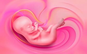 آنچه جنین در شکم مادر یاد میگیرد